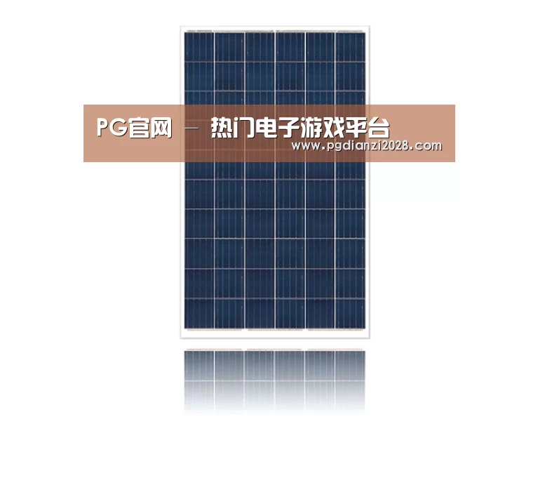 产品名称一