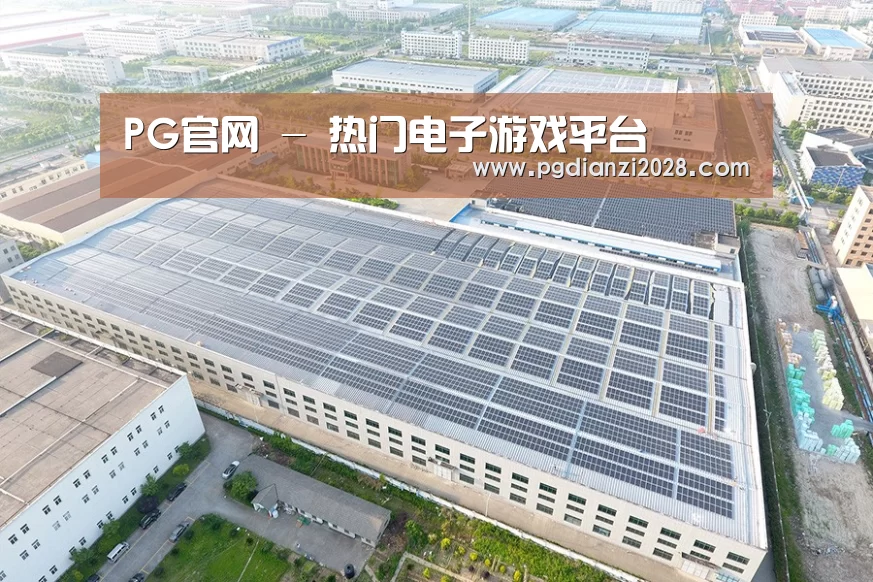 案例展示二