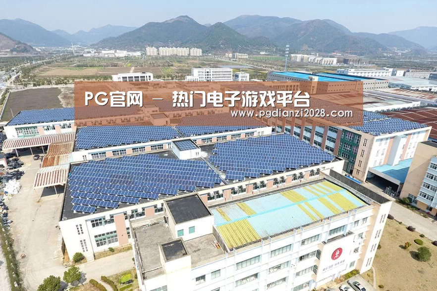 案例展示三