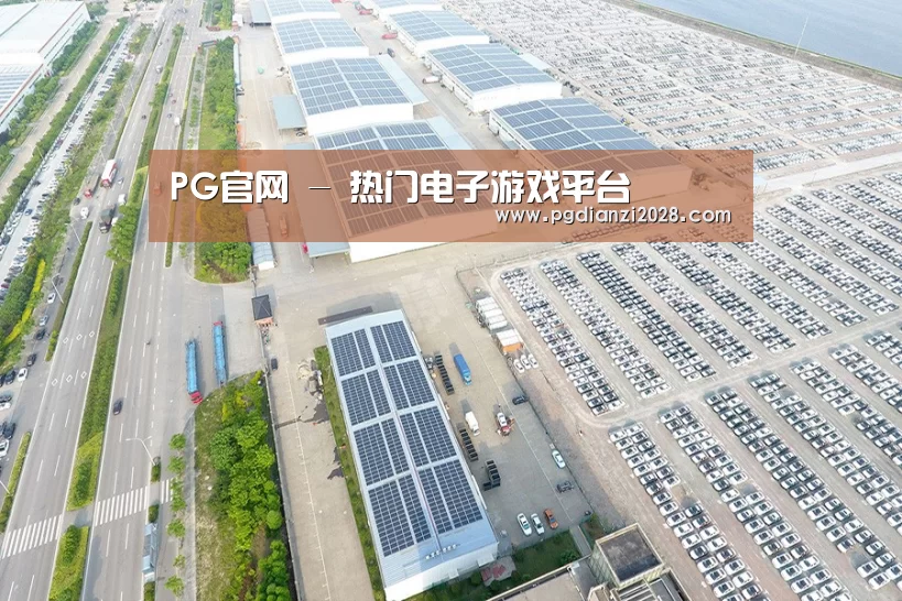 案例展示二