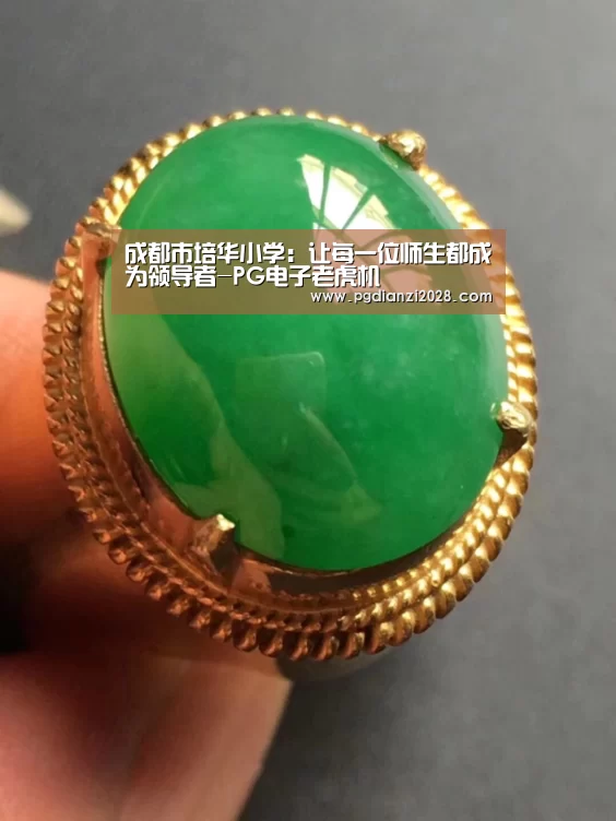 PG电子老虎机