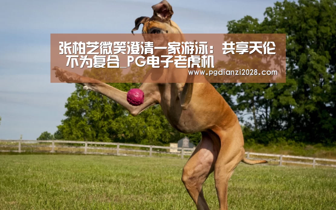 PG电子老虎机