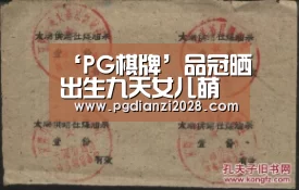 PG电子登录入口